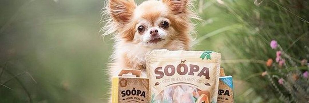 Charity Workers get 22% off at Soopa Pets from Soopa Pets