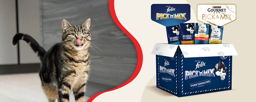 Purina Direct Banner