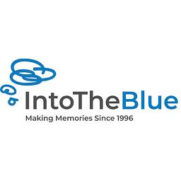 Into The Blue Logo