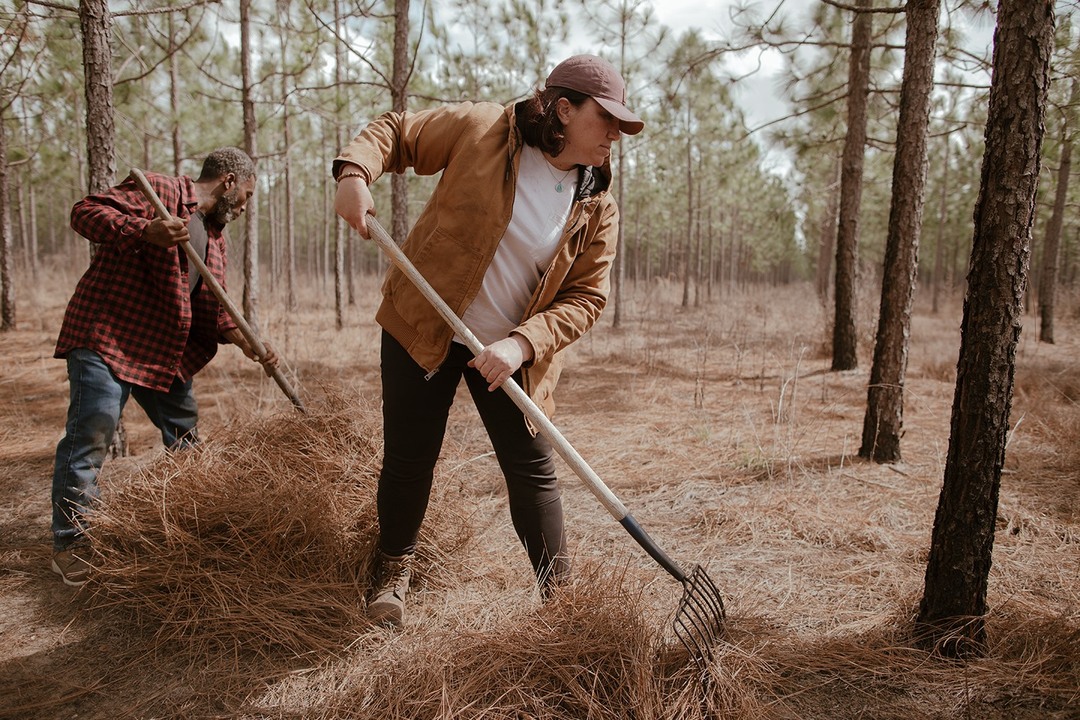 Carhartt cover image